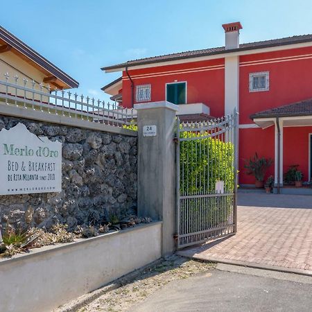 Merlo D'Oro Carrara Ngoại thất bức ảnh